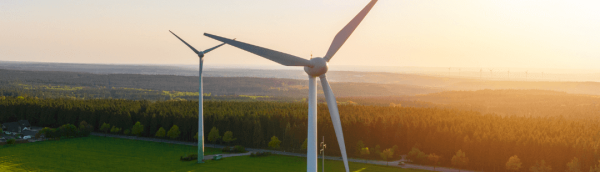 Copia-de-Copia-de-Copia-de-Copia-de-día-del-medioambeinte-redimensionado-para-twitter